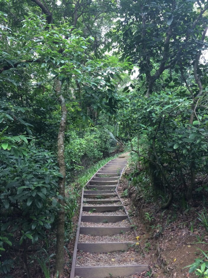 福州山公园 摄影：Eva隨手拍