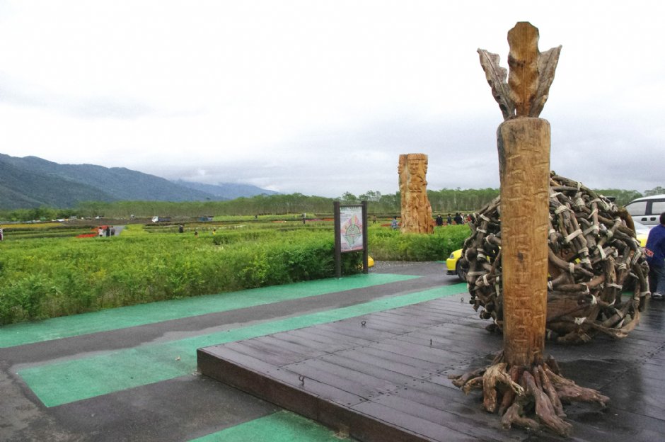 大农大富平地森林园区 摄影：Eva隨手拍