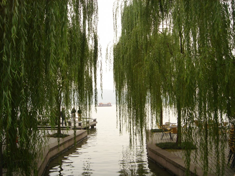 Photo:余燕鳳