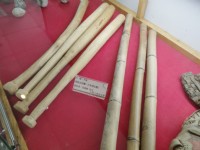 昔日球队所使用之球具<br/> 摄影：Eva隨手拍