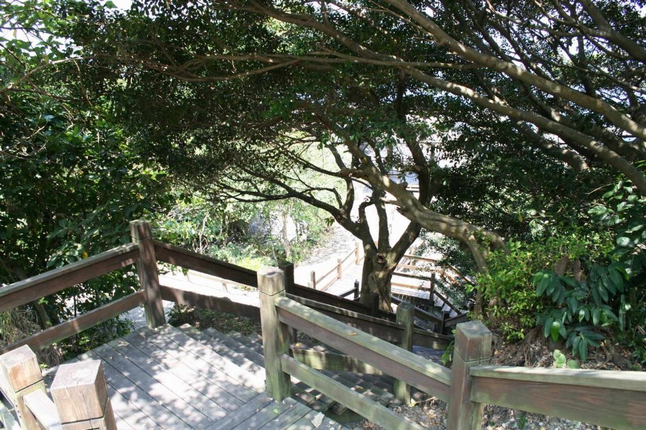 石门木栈道 摄影：老山羊部落格