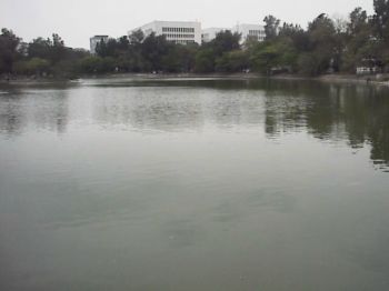 宽广湖面 摄影：郭香妙