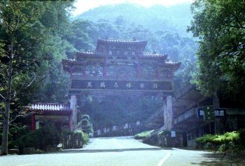 万瑞森林乐园 摄影：呂玫瑢