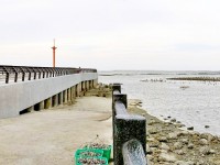 香山湿地<br/> 摄影：Eva隨手拍
