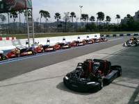 Renjie Go Kart