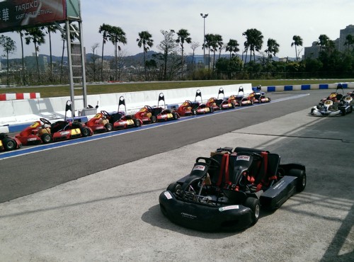 Renjie Go Kart-