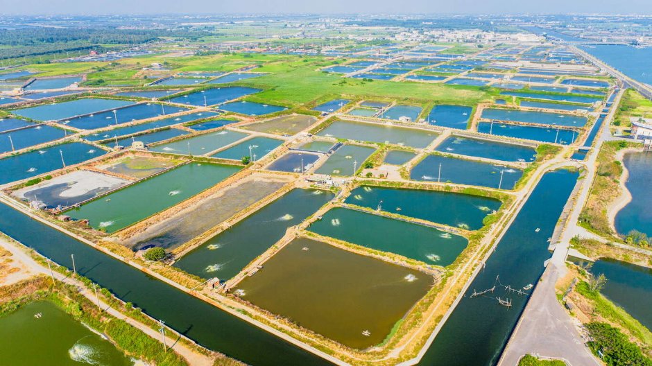 鸟瞰鳌鼓湿地 摄影：照片來源_雲嘉南濱海國家風景區