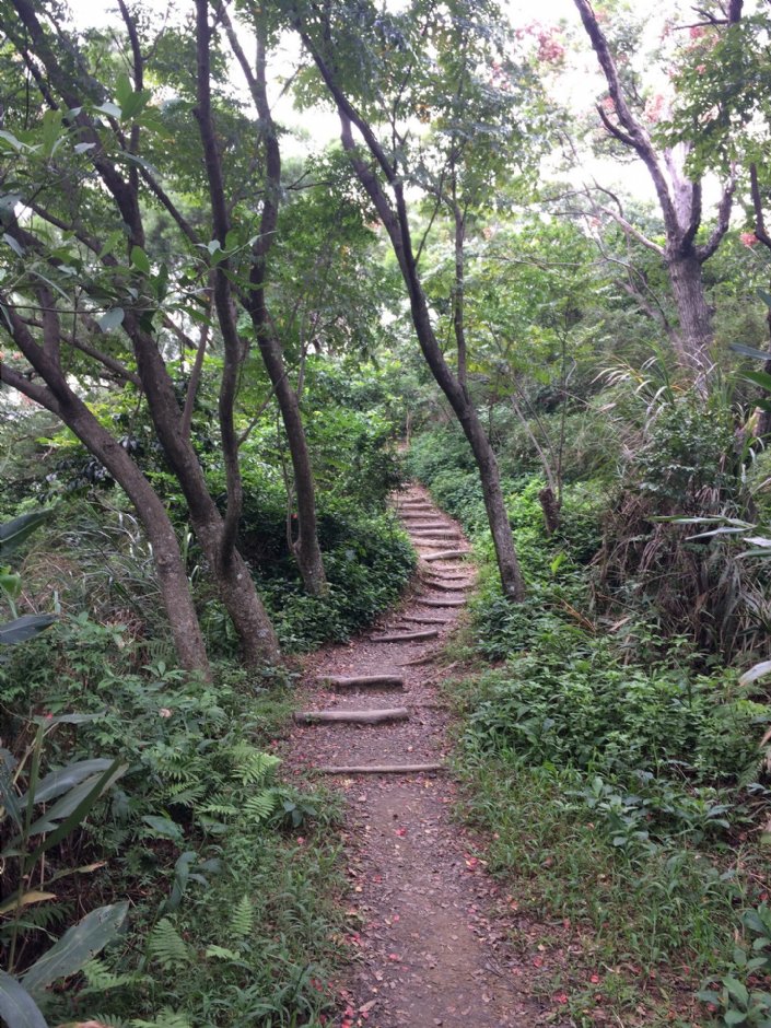 福州山公园 摄影：Eva隨手拍