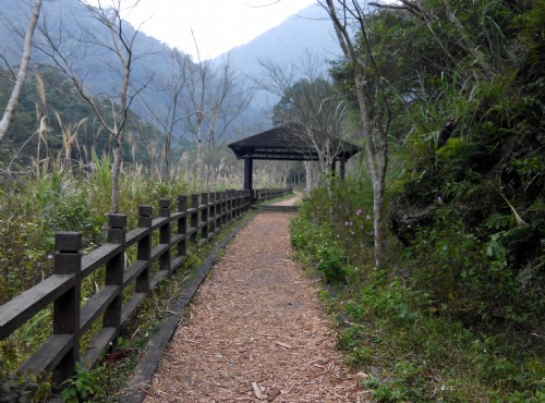 滿月圓國家森林遊樂區-木屑步道