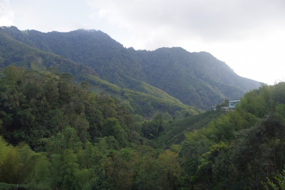 石壁风景区 摄影：Eva隨手拍