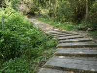 尾寮山步道前段大津瀑布步道<br/> 摄影：旅遊王攝影組