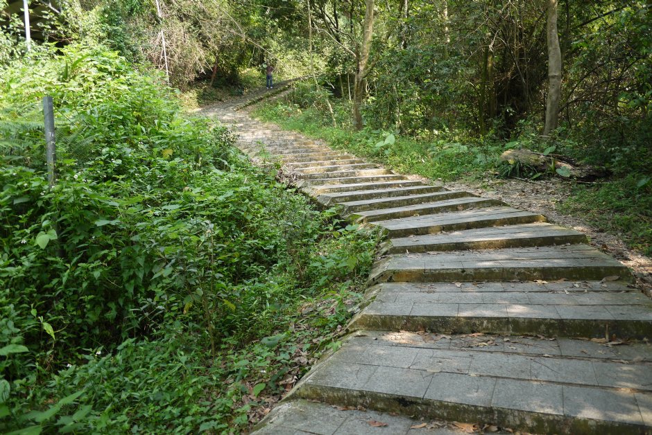 尾寮山步道前段大津瀑布步道 摄影：旅遊王攝影組