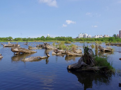 Luodong Forestry Culture Garden