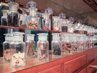 立康中草药产业文化馆<br/> 摄影：立康中草藥產業文化館