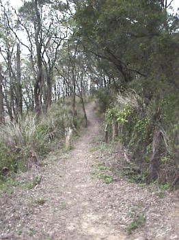 登山步道 摄影：郭香妙