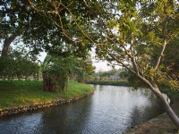 Longtan Pond Bike Lane