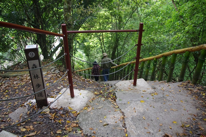 Photo:Eva隨手拍