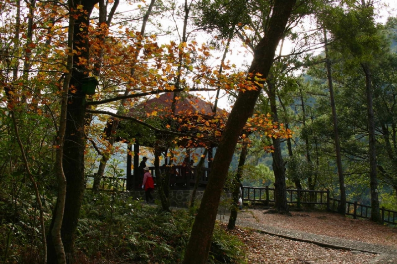 Photo:老山羊部落格