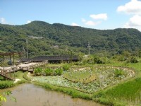 後湖濕地-同心池<br/> 攝影：陳美吟