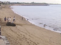 Qianshuiwan (Qianshui Bay)