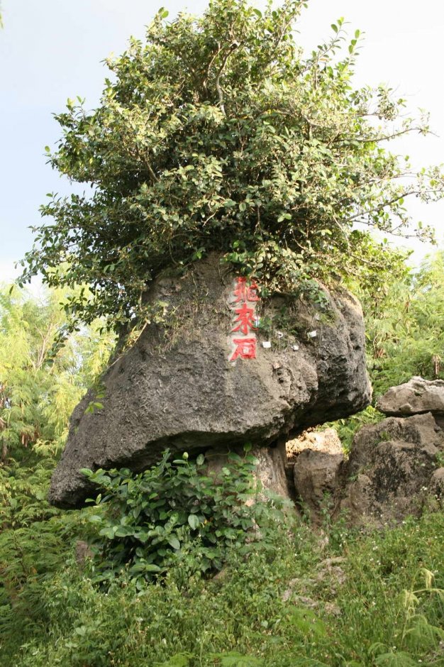 飞来石 摄影：老山羊部落格