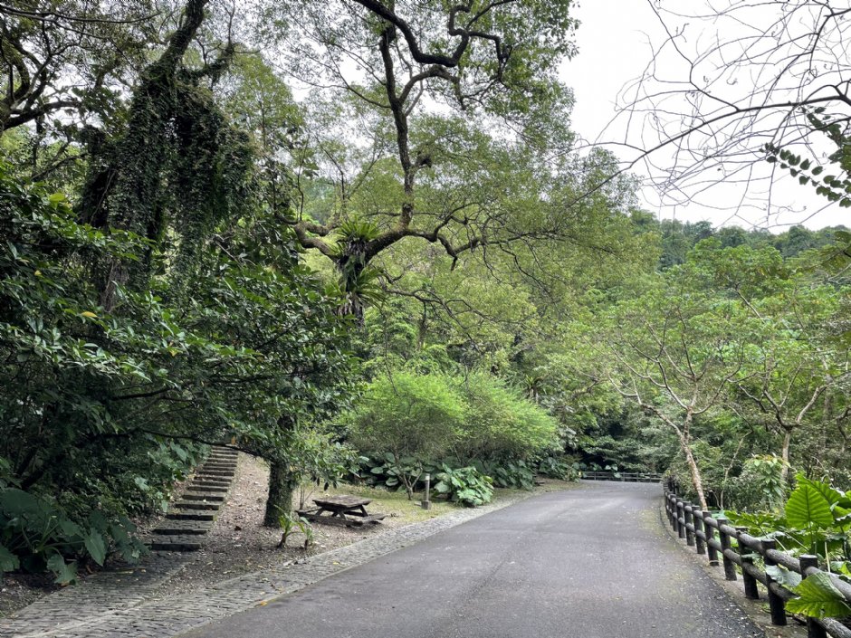 仁山植物園步道 攝影：Eva隨手拍