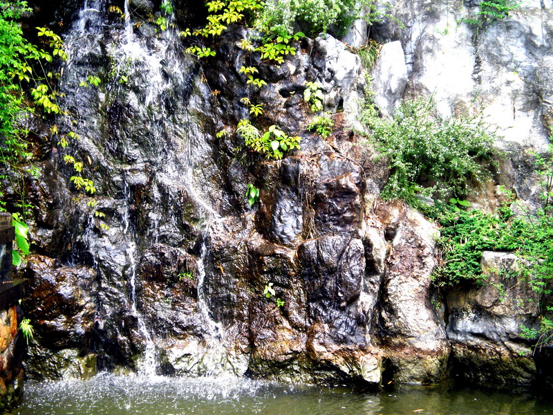 Photo:顧穎