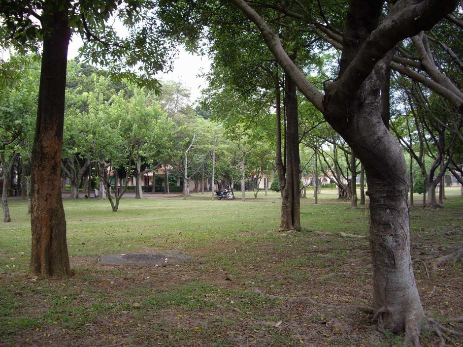 美式住宅区风景 摄影：老山羊部落格