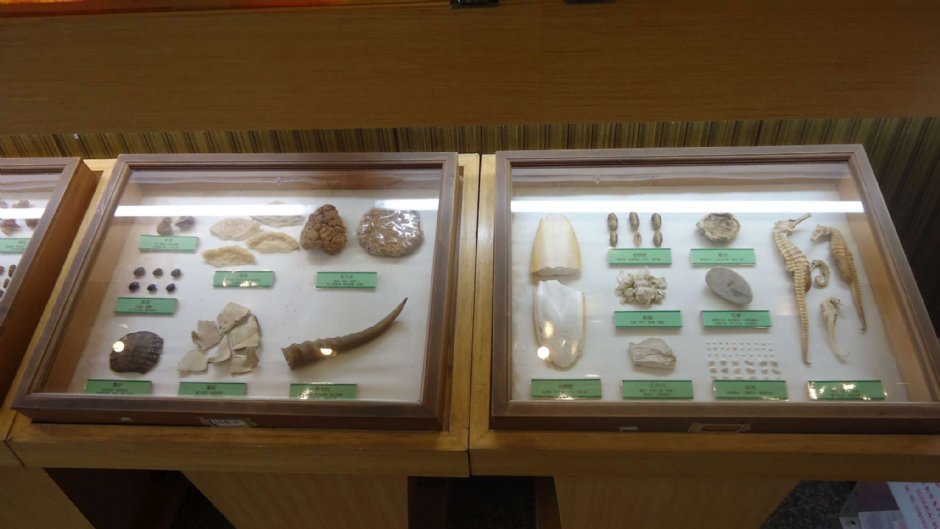 立康中草药产业文化馆 摄影：立康中草藥產業文化館