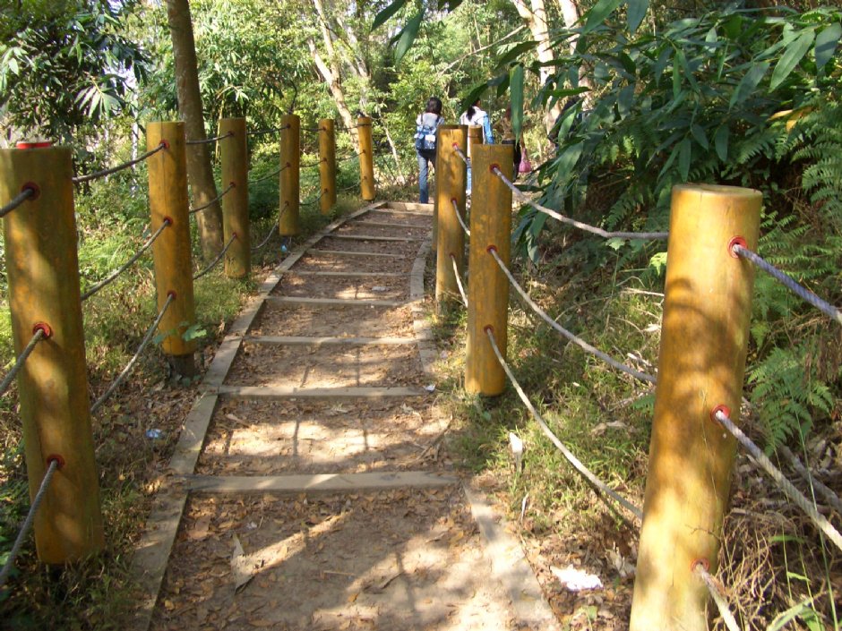 森林浴步道 摄影：鄭瑄頤