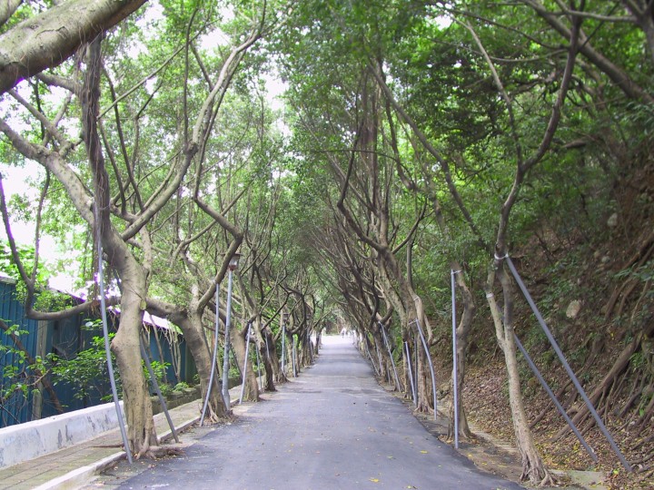 步道 摄影：kavin