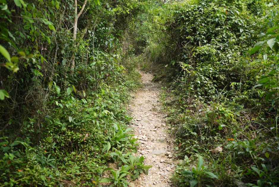 尾寮山步道 摄影：旅遊王攝影組