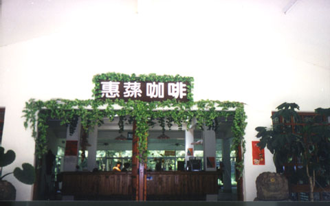 惠荪咖啡园一景 摄影：南投縣政府