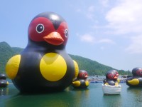Photo:旅遊王攝影組