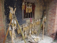 东里家风<br/> 摄影：Eva隨手拍