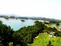 Photo:余錫堅