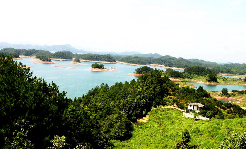 Photo:余錫堅