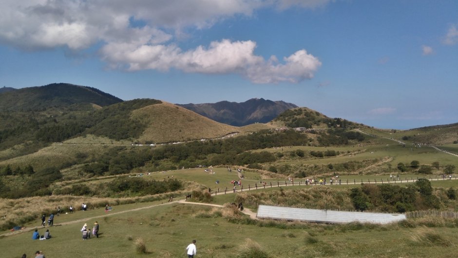 台北陽明山是賞花健行的好地方/Lu