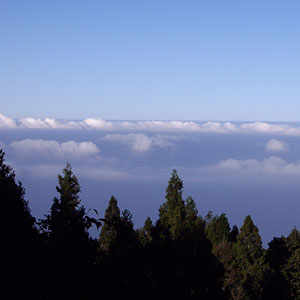 觀日雲海