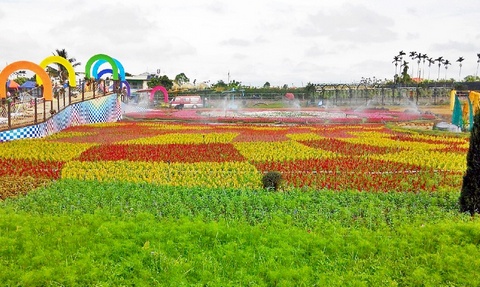 新社花海節 新社花海節