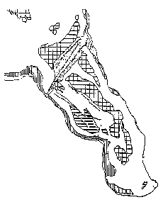 香蕉湾生态保护区