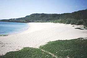 砂島生態保護區