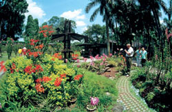 新加坡旅遊網新加坡非常浪漫之旅新加坡植物園