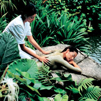 新加坡旅遊網新加坡非常浪漫之旅Spa Botanica新加坡第一個熱帶花園式的水療公園
