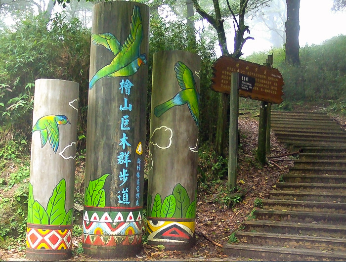 觀霧國家森林遊樂區