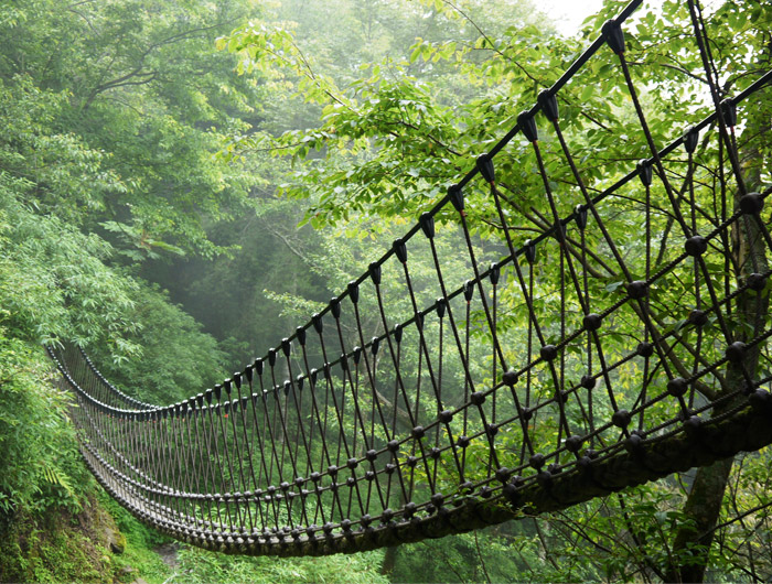 觀霧國家森林遊樂區