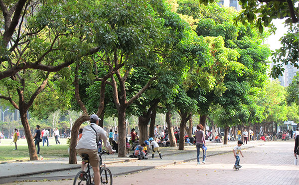 台中散步、夜市美食行程