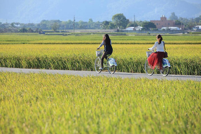 池上米、关山米
