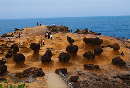 北海岸與淡水河口